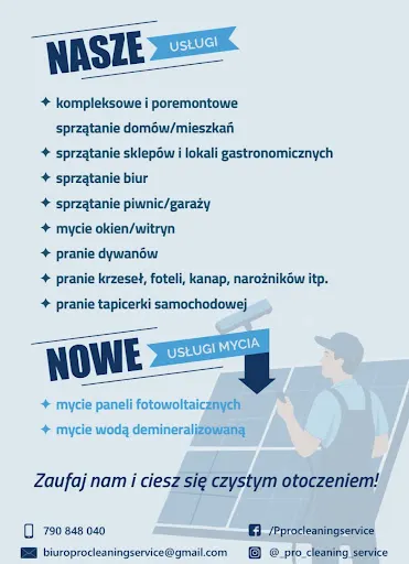 PRO CLEANING SERVICE